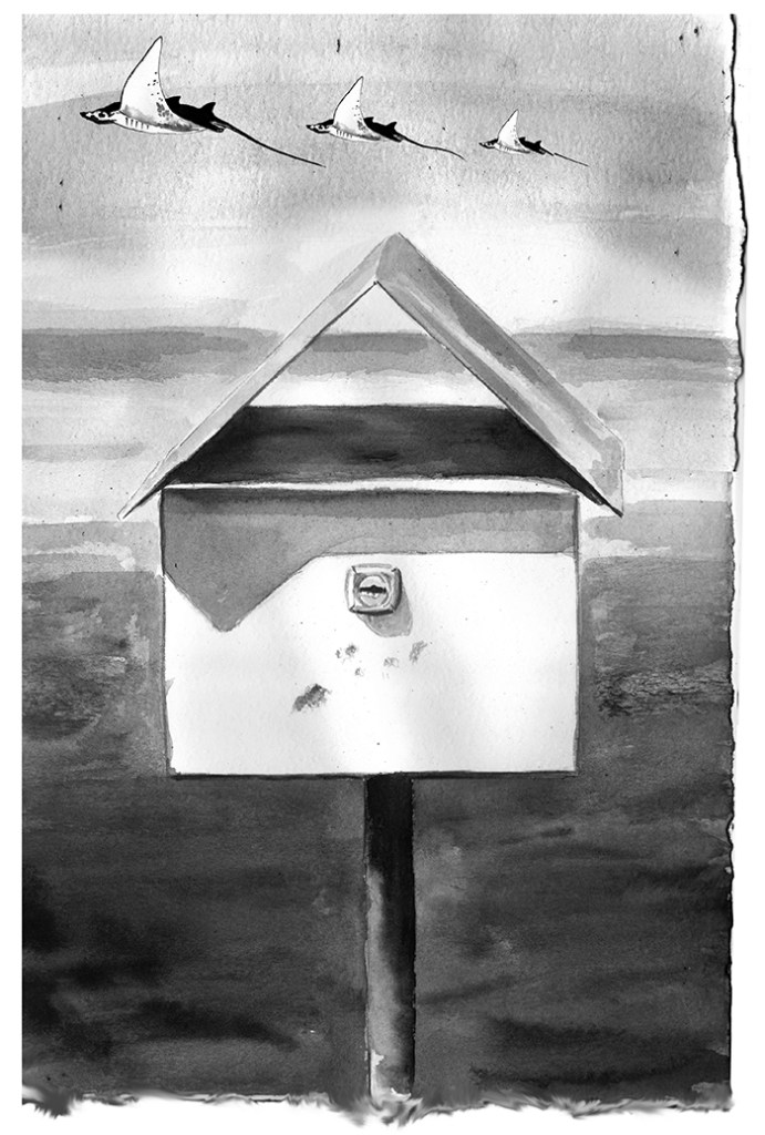 letterbox